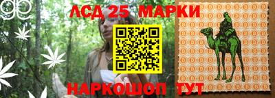 спиды Абакан