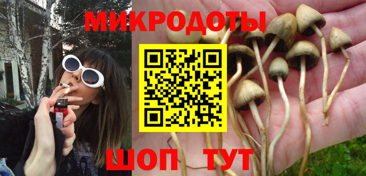 Псилоцибиновые грибы Psilocybine cubensis Александров
